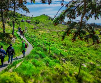 Discover Haugesund and visit a local mountain farmer