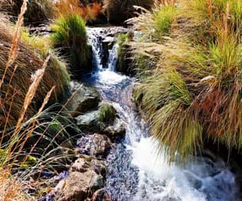 Excursão às termas de Puritama