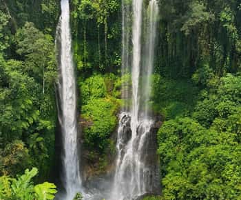 North Bali: Sekumpul and Banyumala Waterfalls & Rice Terrace