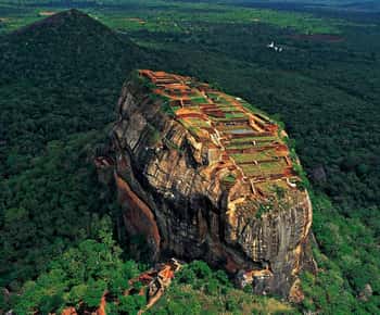 From Colombo: Sigiriya / Dambulla & Safari Day Tour