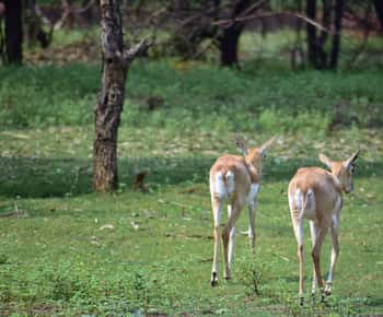 2-Day Trip to Mikumi from Zanzibar Latest Itinerary
