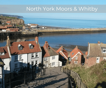 From York: North Moors and Whitby Tour