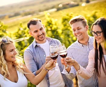 Santiago: World-class Wines, Visit to 4 Vineyards and Tanino
