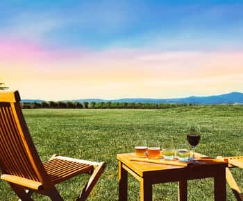 Yarra Valley Wine Tour with Choc & Lunch - Gin/Beer Option