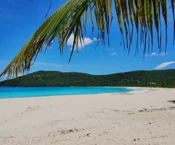 Culebra: wycieczka z przewodnikiem i transportem z San Juan