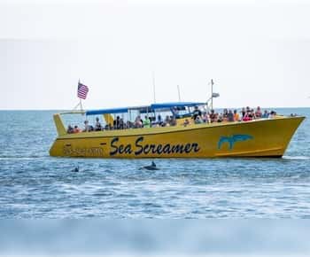 Myrtle Beach: Cruzeiro com golfinhos no Sea Screamer