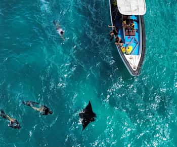 From Bali: Nusa Penida Full Day Private Snorkeling Tour