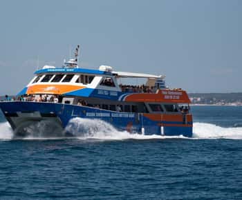 Santa Pola: Tabarca Catamaran Cruise with Underwater Vision