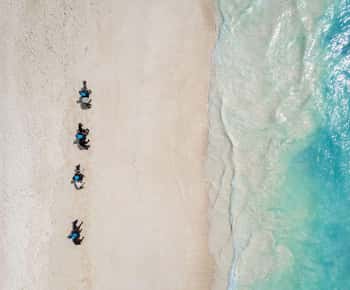 Zanzibar: 60-Minute Horseback Riding Tour