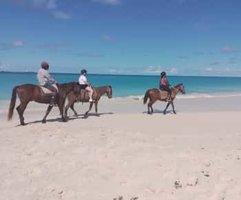 Antigua: Ridning, svømning og Fort James Beach-tur