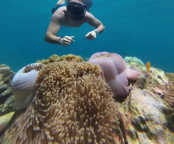 Koh Lipe: Viagem de 1 dia de snorkeling a 4 ilhas 5 pontos