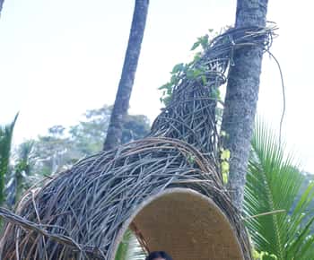 Tour full day ubud, water fall,coffe atv,and rice paddy