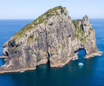 Paihia/Russell: Hole in the Rock Cruise with 2 Island Stops