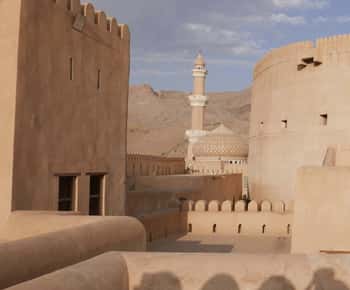 Da Muscat: Tour di un giorno del Forte di Nizwa, Souq, falaj e Museo