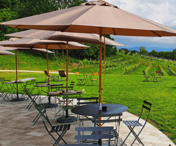 Conegliano: Tour delle colline e dei vigneti del Prosecco