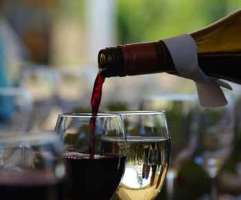 West Kelowna: Wine Tour with Tastings