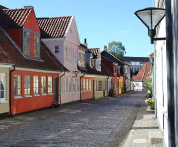 Odense privé wandeltour met gids