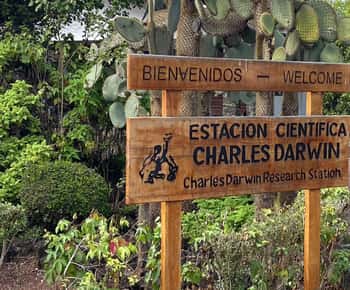 Galápagos: Visita guiada de 5 dias com alojamento