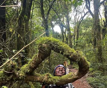 Moshi: Kilimanjaro Climb Marangu Route Guided Tour