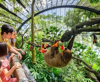 Singapore Zoo: 1-Day Entrance E-Ticket
