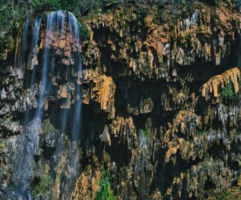 Dar es Salaam: 3-Day Mikumi & Udzungwa Safari with Train