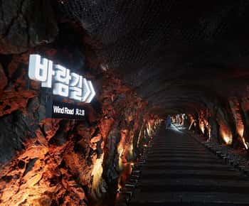 Suwon: Hwaseong Fortress Day Trip from Seoul