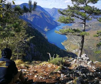 Von Belgrad aus: Tara NP & Drina Fluss & Haus an der Drina