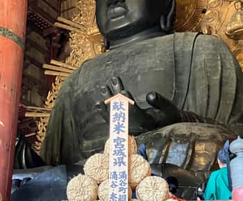 Tour particular a Nara saindo de Osaka – Encontro no seu hotel