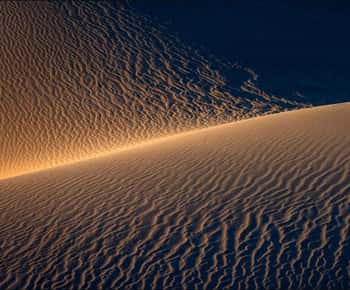 Doha: Nighttime Desert Safari with Dune Bashing & Camel Ride