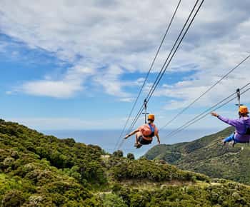 Kaikōura: Zipline en avontuurlijke tocht door inheemse bossen
