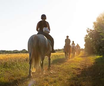 Fazana: Pôr do sol: 1 hora de passeio a cavalo na natureza com guia