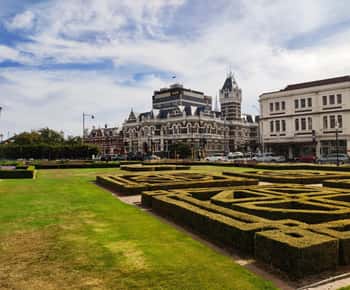 Dunedin City Highlights & Larnach Castle Tour