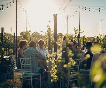 Chianti: Toscaans wijngaarddiner met wijnproeverij