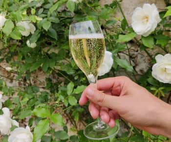 З Парижа: Одноденна поїздка до Шампані з 7 дегустаціями та обідом