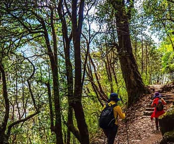 Pokhara: excursión de un día al Australian Camp