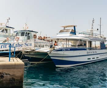 Ab Puerto Rico de Gran Canaria: Delfinbeobachtungstour