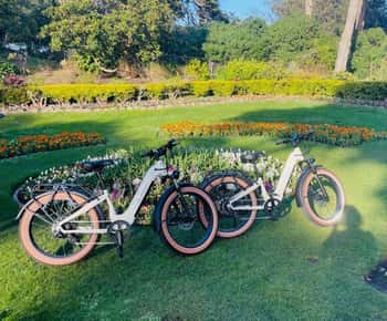San Francisco: Summer of Love guidet eBike-tur