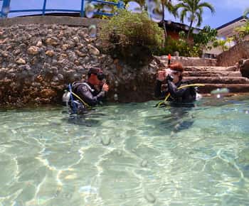 Cebu: Duiken aan het strand