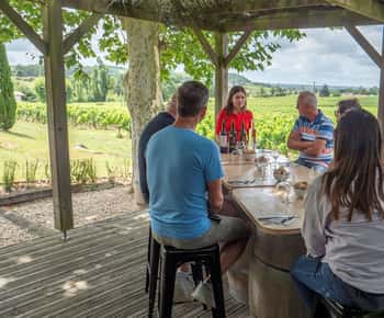 Von Bordeaux aus: Tagesausflug nach St-Emilion mit Verkostungen und Mittagessen