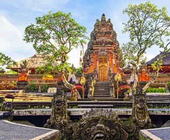 Från Bali: Saraswati-templet, apskogen, vattenfallen i Ubud