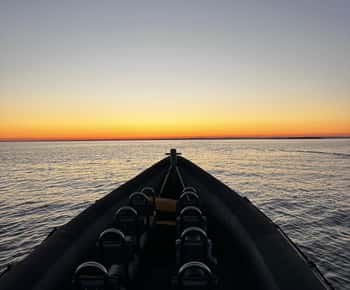 RIB Boat Tour with Lighthouse Visit in the magic Archipelago