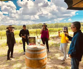 Rondleiding "Parras de la Fuente", met gids, transfer en tickets