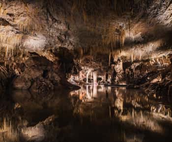 Lake Cave: Tour guiado completo