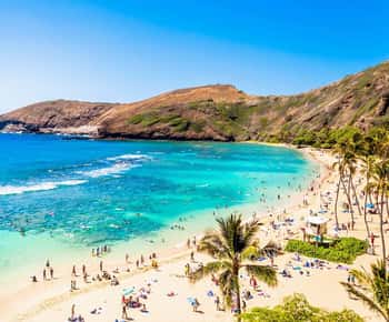 Oahu: Eintrittskarte für die Hanauma Bay + Ausrüstungsverleih