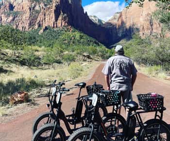 Springdale: Guided eBike Tour in Zion National Park