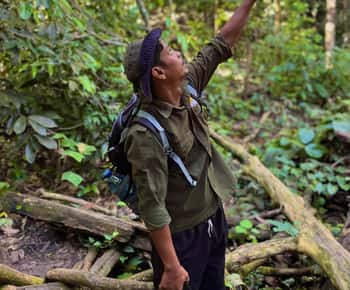 Jungle Trek inclusief verblijf Batu Ridi Jungle