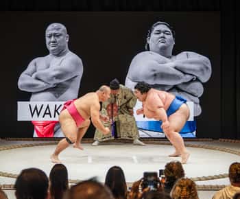 Osaka: Sumo Stage Show with Bento & Fight + Photo Shooting