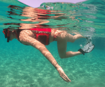 San Juan: Snorkeling with Turtles Adventure and Free Videos