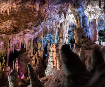 Mallorca: Dagtrip naar Grotten van Hams & Dinosaurusland in optie