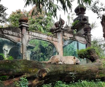 Jakarta : Taman Safari, Panda Palace, and Waterfall